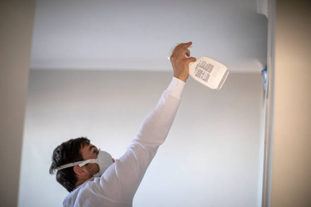 Best Office Mold Removal Services  in Shady Shores, TX