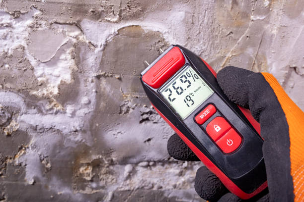 Best Attic Mold Removal  in Shady Shores, TX