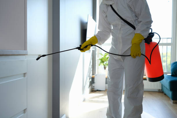Best Mold Cleaning Services  in Shady Shores, TX